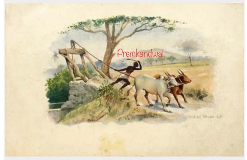 https://www.amarpremlithos.com/gallary/202508090332IMG_1301.jpeg