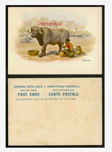 https://www.amarpremlithos.com/gallary/202508090645IMG_1335.jpeg